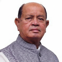 श्री रमन भाई पाटकर